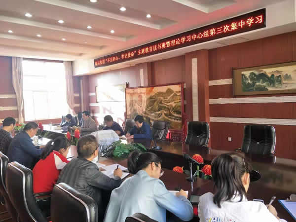 隴運集團(tuán)公司召開“不忘初心、牢記使命”主題教育讀書班暨理論學(xué)習(xí)中心組第三次、第四次集中學(xué)習(xí)會議