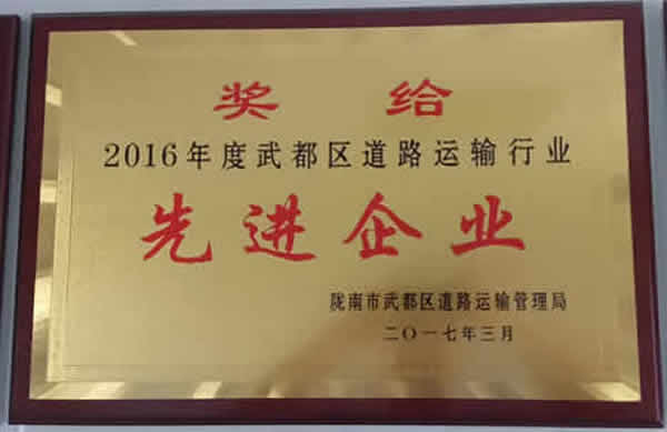 2016年度武都區(qū)道路運輸行業(yè)先